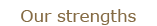 Our strengths