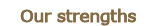 Our strengths